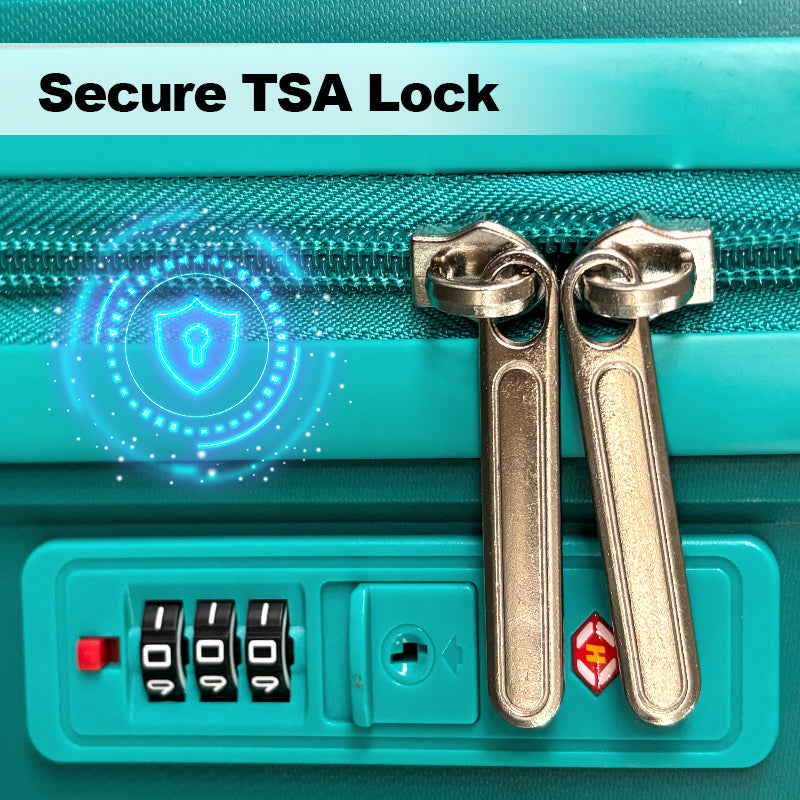 16491636