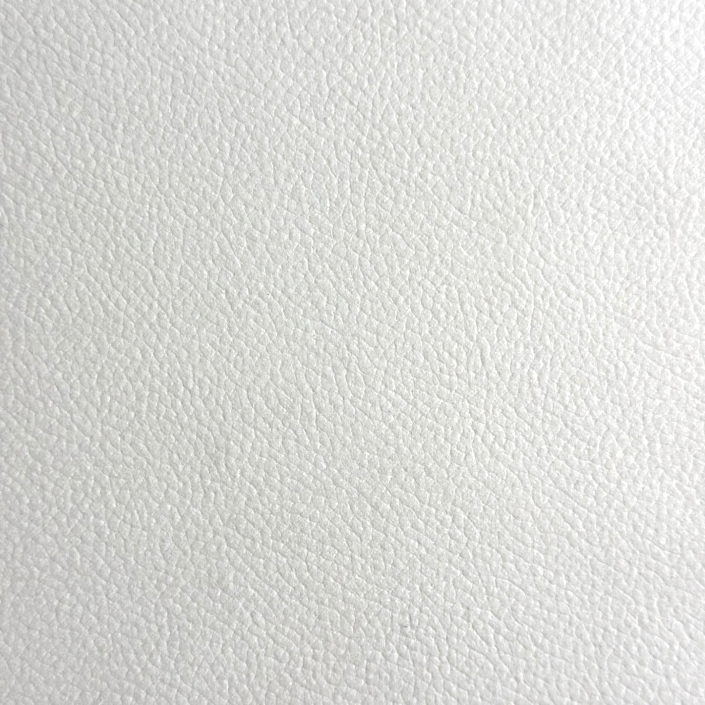 17137446